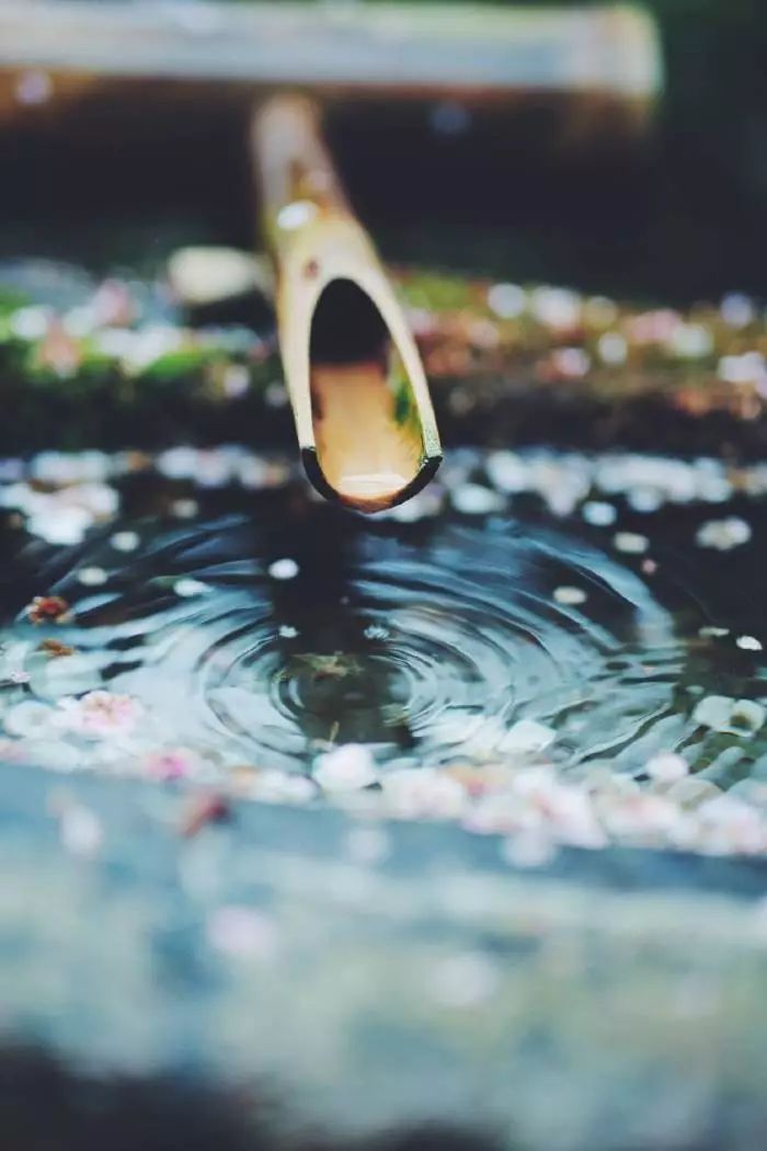 关于节气雨水的诗句（雨水节气十首诗词）