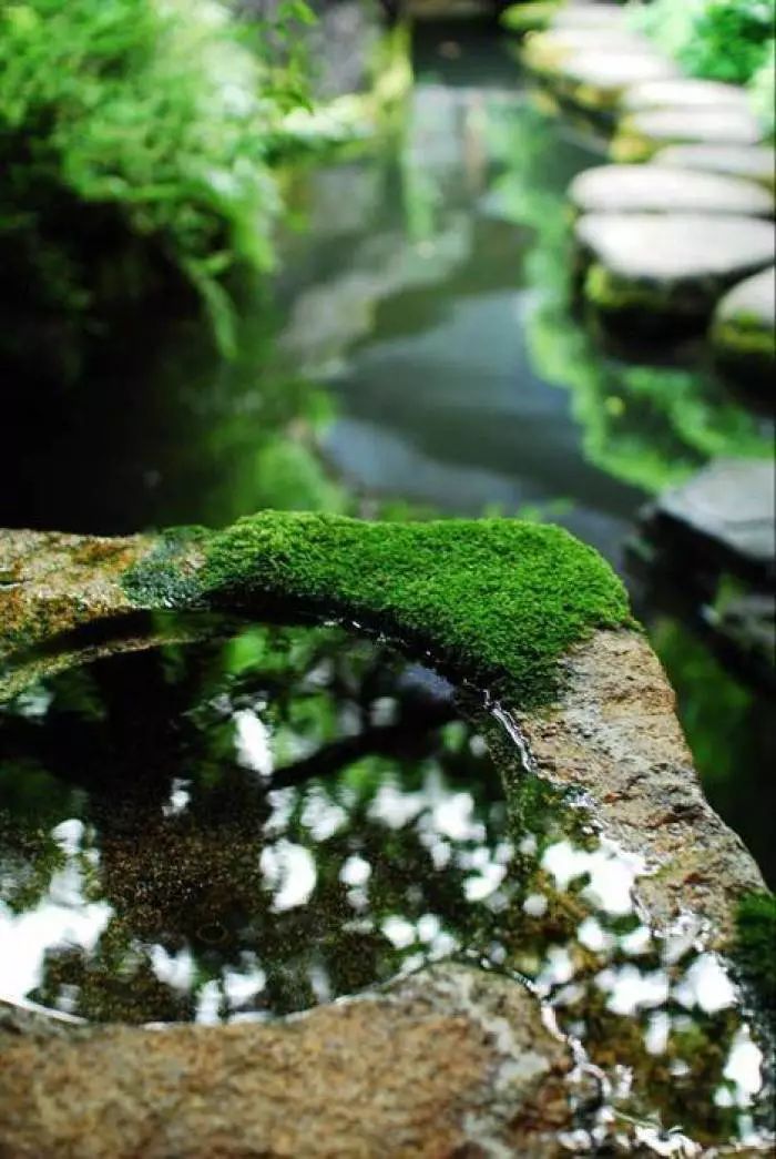 关于节气雨水的诗句（雨水节气十首诗词）