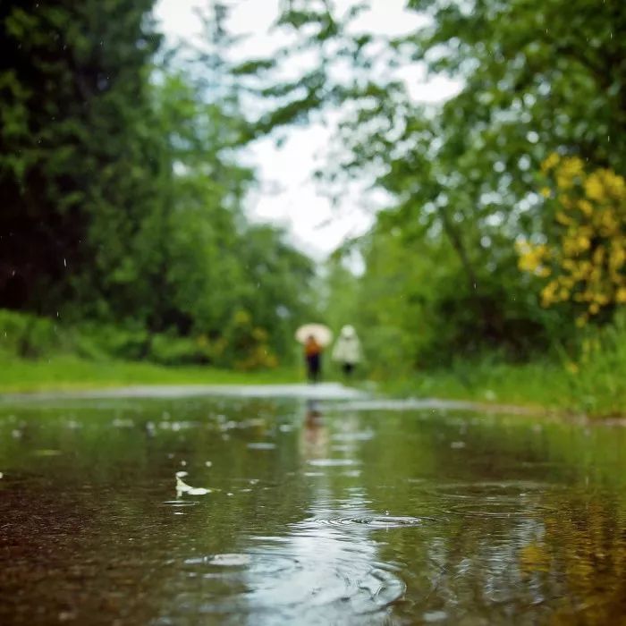 关于节气雨水的诗句（雨水节气十首诗词）